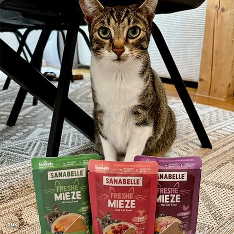 Sanabelle Freshe Mieze - Taca mieszana | 10 x 100g opakowanie mieszane | 4 pyszne odmiany karmy dla kotów, których warto spróbować | Mokra karma dla kotów gotowana na parze, zupełnie jak świeżo ugotowana