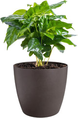elho The Coffee Collection, okrągły garnek do użytku domowego, 18 cm, wykonany z fusów kawy i plastiku pochodzącego z recyklingu - brązowy/brąz espresso
