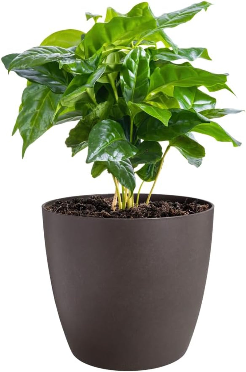 elho The Coffee Collection, okrągły garnek do użytku domowego, 18 cm, wykonany z fusów kawy i plastiku pochodzącego z recyklingu - brązowy/brąz espresso