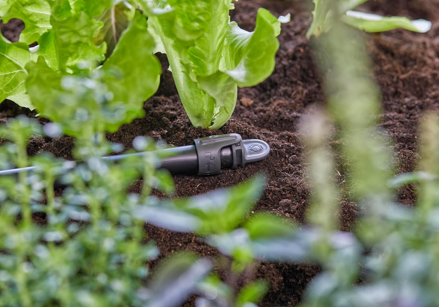 Gardena Korek uszczelniający do systemu Micro-Drip 13 mm (1/2 cala): Praktyczne zamknięcie do rur 13 mm, Szybka i łatwa technologia łączenia, wielokrotnego użytku (13205-20)