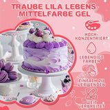 Barwnik spożywczy w żelu - HXDZFX 2×30ml, barwnik spożywczy bez cukru, silnie skoncentrowany, do dekoracji ciast, białej fondantu, makaroników, ciasteczek, wypieków, pisanek, śluzu (fiolet winogronowy)