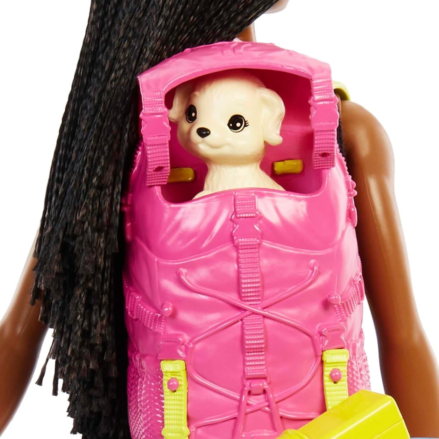 Podwójna lalka Barbie HDF74! Brooklyn Camping Doll (Brunetka z plecionymi warkoczami, ok. 29 cm) ze szczeniakiem, plecakiem, śpiworem, 10 akcesoriami kempingowymi, prezentem dla dzieci w wieku 3 lat i starszych