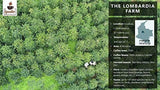 Kawa Iguaque 1000gr | Premium Kaffee ganze Bohnen 100% Arabika z Kolumbii | Familienbetrieb - Single Origin Kaffeebohnen - Nachhaltige eigene Plantage im Hochland - Kräftiges Aroma