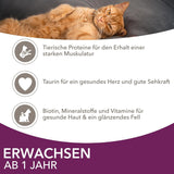 IAMS Delights Land & Sea Collection Mokra karma dla kotów - asortyment mięs i ryb Opakowanie zbiorcze w sosie, mokra karma dla kotów od 1. roku życia, 72 x 85g