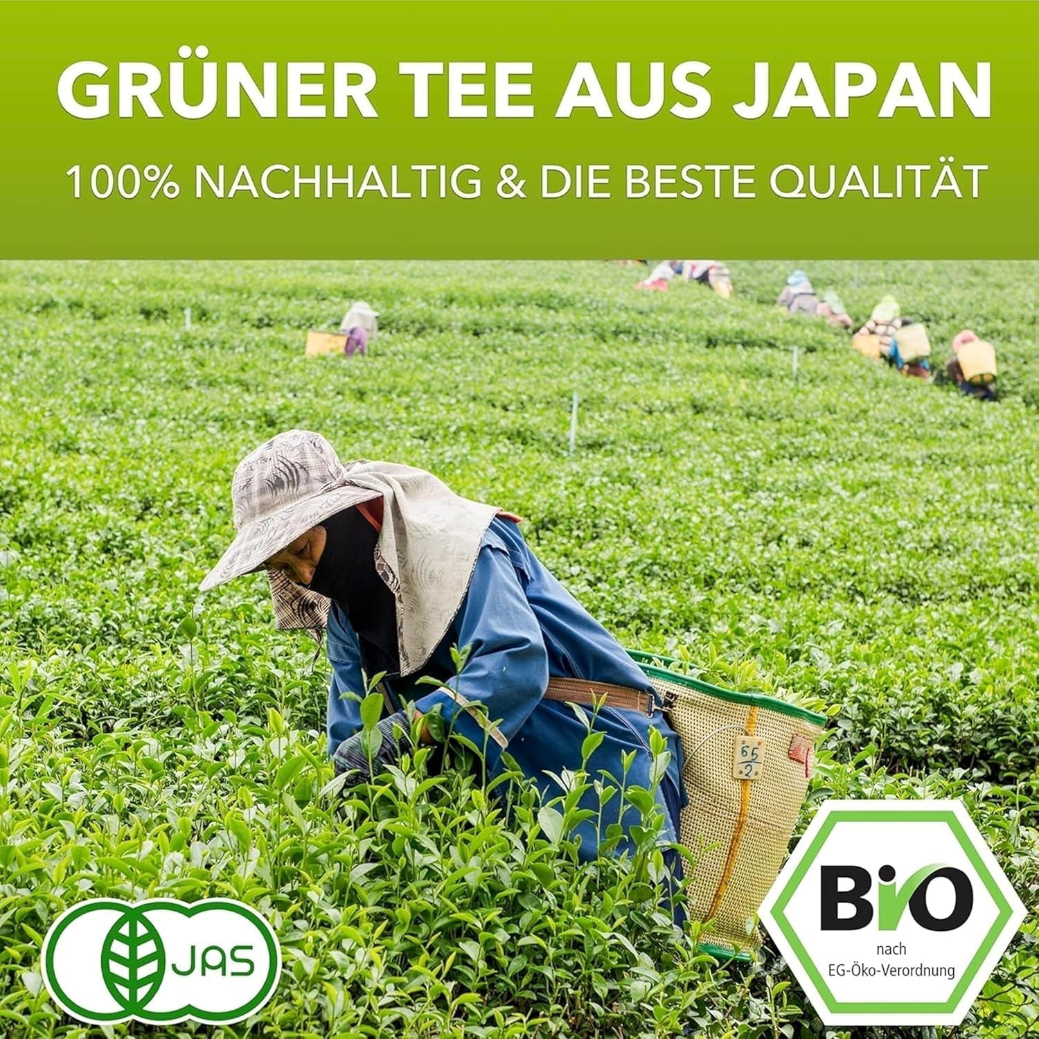 Matchamagic - Organiczna matcha latte w proszku z Japonii z cukrem z kwiatów kokosa do pysznej herbaty