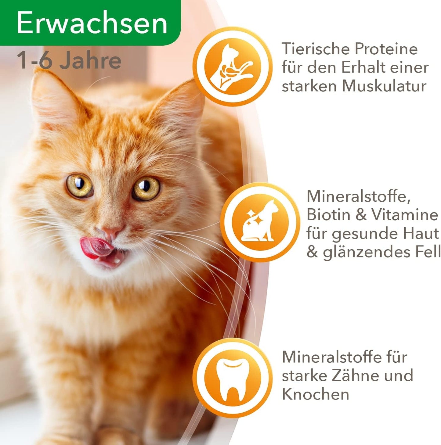 IAMS Delights Mokra karma dla kotów z soczystą wołowiną i marchewką w galarecie - Kompletna karma mokra dla dorosłych kotów, 24 saszetki x 85g