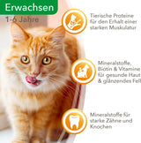 IAMS Delights Mokra karma dla kotów z soczystą wołowiną i marchewką w galarecie - Kompletna karma mokra dla dorosłych kotów, 24 saszetki x 85g