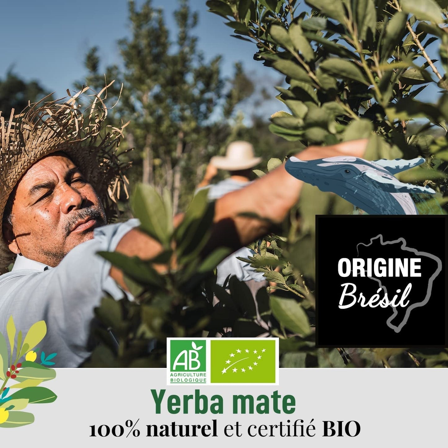 ORIGEENS BIO YERBA MATE Z MIĘTĄ I CYTRYNĄ 200 G - Świeżość I Niepalona Bio Yerba Mate, liście, bez łodyżek i pyłu