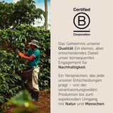 illy, Kompatybilna Aluminium-Kaffeekapseln CLASSICO, 100% Arabica z nutami kwiatów pomarańczy i jaśminu, słodki smak i słodki posmak, 10 opakowań po 10 kapsułek (w sumie 100)