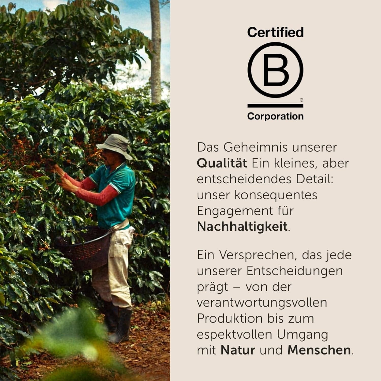 illy, Kompatybilna Aluminium-Kaffeekapseln CLASSICO, 100% Arabica z nutami kwiatów pomarańczy i jaśminu, słodki smak i słodki posmak, 10 opakowań po 10 kapsułek (w sumie 100)