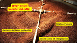 Caffè New York - XXXX - Kawa ziarnista - 1000g