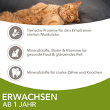 IAMS Delights Land Collection Mokra karma dla kotów - Opakowanie zbiorcze z różnymi rodzajami mięsa (jagnięcina, wołowina, kurczak i indyk) w sosie, mokra karma dla kotów od 1 roku, 12 x 85g