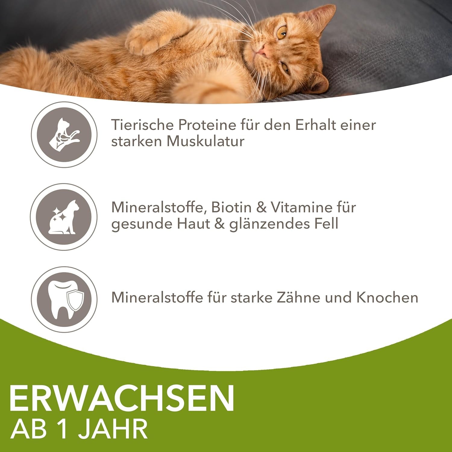 IAMS Delights Land Collection Mokra karma dla kotów - Opakowanie zbiorcze z różnymi rodzajami mięsa (jagnięcina, wołowina, kurczak i indyk) w sosie, mokra karma dla kotów od 1 roku, 12 x 85g