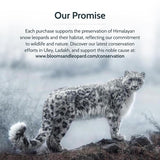 Torebki na zieloną herbatę Blooms & Leopard Premium - Mieszanka jagód Borealis z hibiskusem, jagodami, truskawkami i miętą - 20 torebek na herbatę w kształcie piramidy do herbaty na gorąco lub na zimno