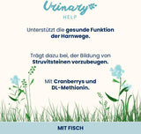 Almo Nature Functional Urinary Help - Nassfutter für ausgewachsene Katzen mit Fisch - Unterstützung für die Gesundheit der Harnwege - 30 torebek po 70g