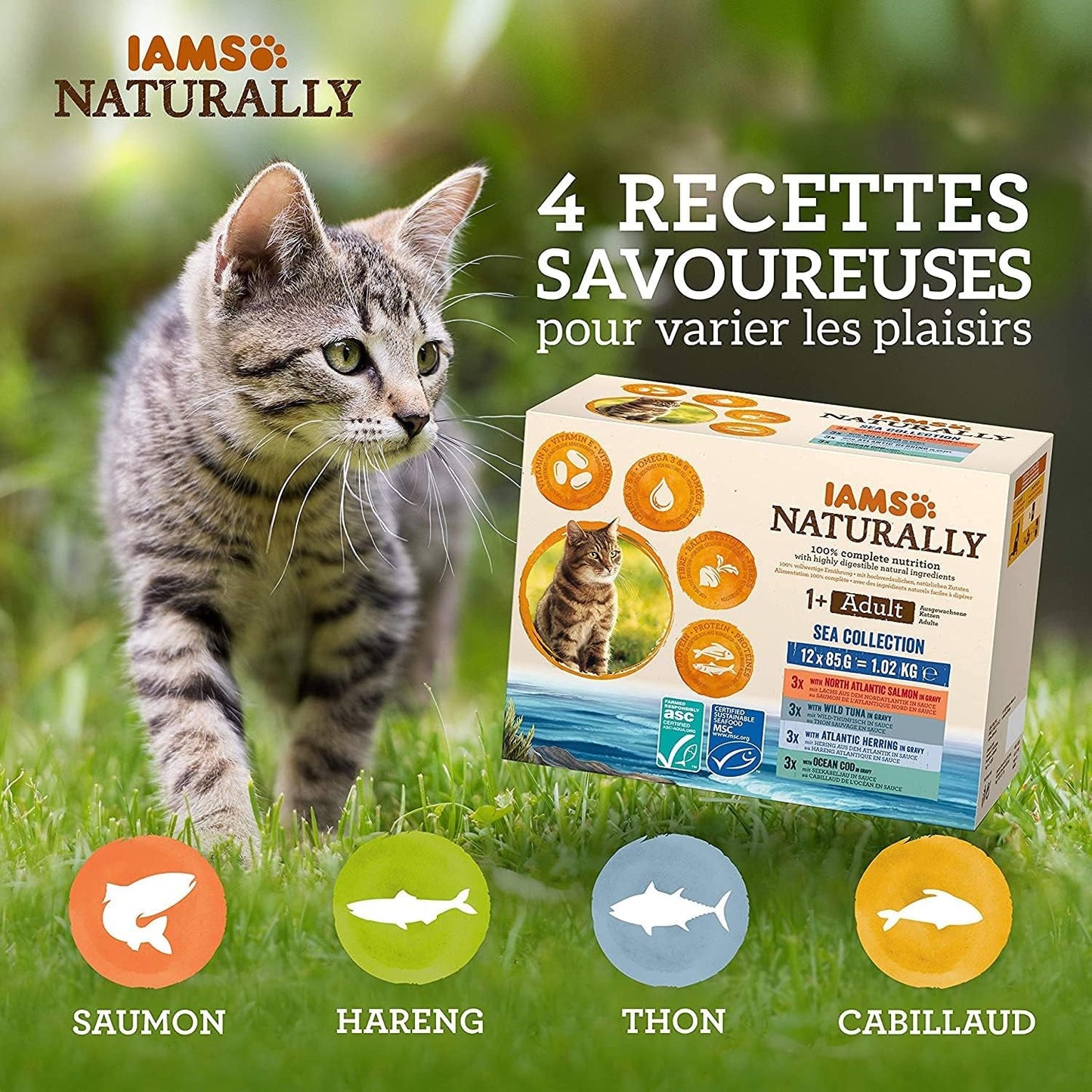 IAMS Naturalna mokra karma dla kotów w sosie - Wysokiej jakości mokra karma z rybą dla dorosłych kotów, kolekcja Sea, 12 x 85g