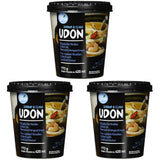 Allgroo Udon Cup Instant Noodles - Aromatyczna pikantna zupa Udon z owocami morza - Szybkie przygotowanie (1 x 173g)