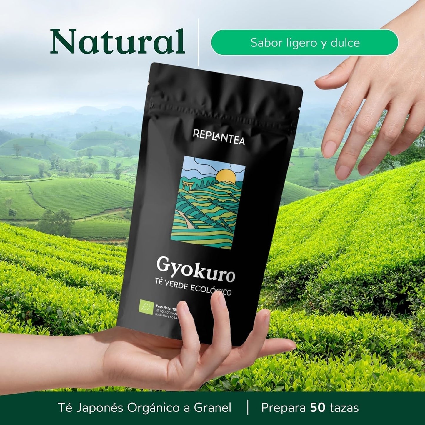 Organiczna japońska zielona herbata Gyokuro (100 g) | Herbata luzem premium | Wyrafinowany smak umami i delikatna słodycz | REPLANT