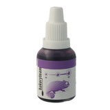 Barwnik spożywczy Bakeryteam Aerobrush Fioletowy 20ml