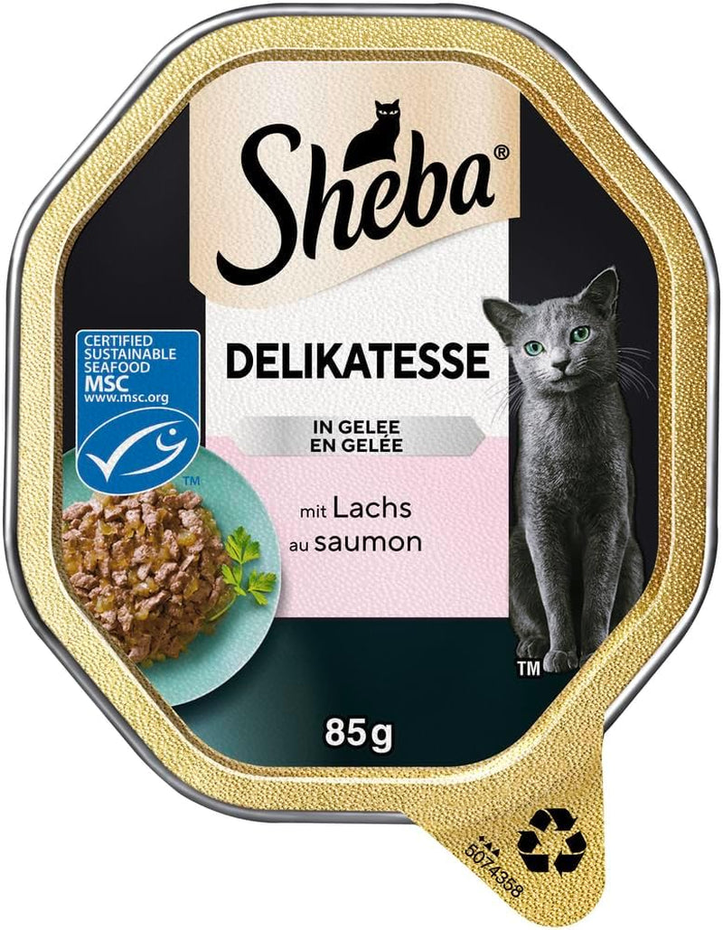 Sheba Mokra karma dla kotów, delikatesy w galaretce z łososia, 2 x 11 x 85g