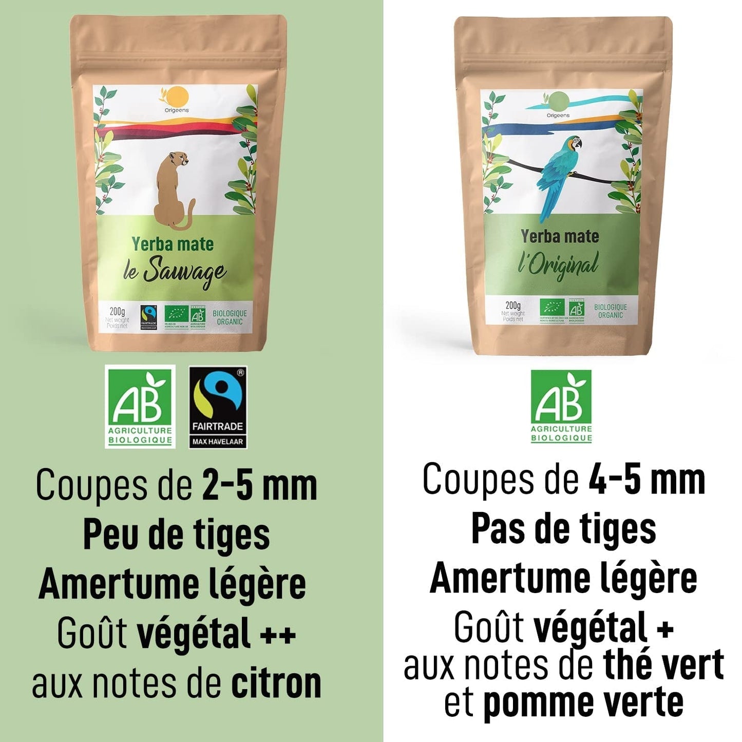 ORIGEENS BIO YERBA MATE TEA 200G - Oryginalna I Bio Yerba Mate niepalona, ​​liście, bez łodyżek, pyłu i okruszków I Napój energetyzujący i detoksykujący