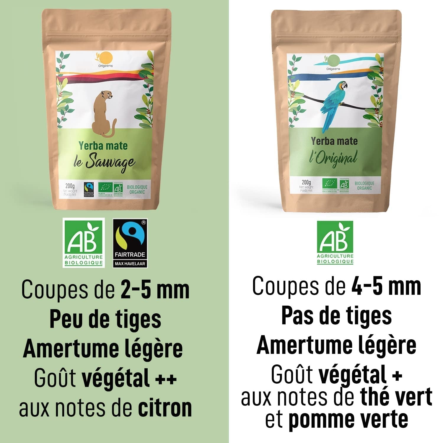 ORIGEENS BIO YERBA MATE TEA 200G - Oryginalna I Bio Yerba Mate niepalona, ​​liście, bez łodyżek, pyłu i okruszków I Napój energetyzujący i detoksykujący