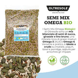Organiczna Mieszanka Nasion Omega 3 kg (mieszanka nasion dyni, słonecznika i lnu), mieszanka 3 całych surowych nasion oleistych, bogata w białko, błonnik i kwasy tłuszczowe omega-3