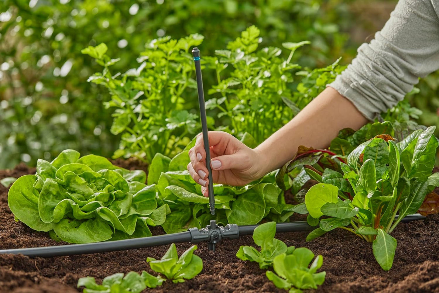 Trójnik Gardena Micro-Drip-System do dysz zraszających: połączenie rur 13 mm z dyszą zraszającą, automatyczne nawadnianie roślin, szybka i łatwa technologia łączenia, wielokrotnego użytku (13206-20)