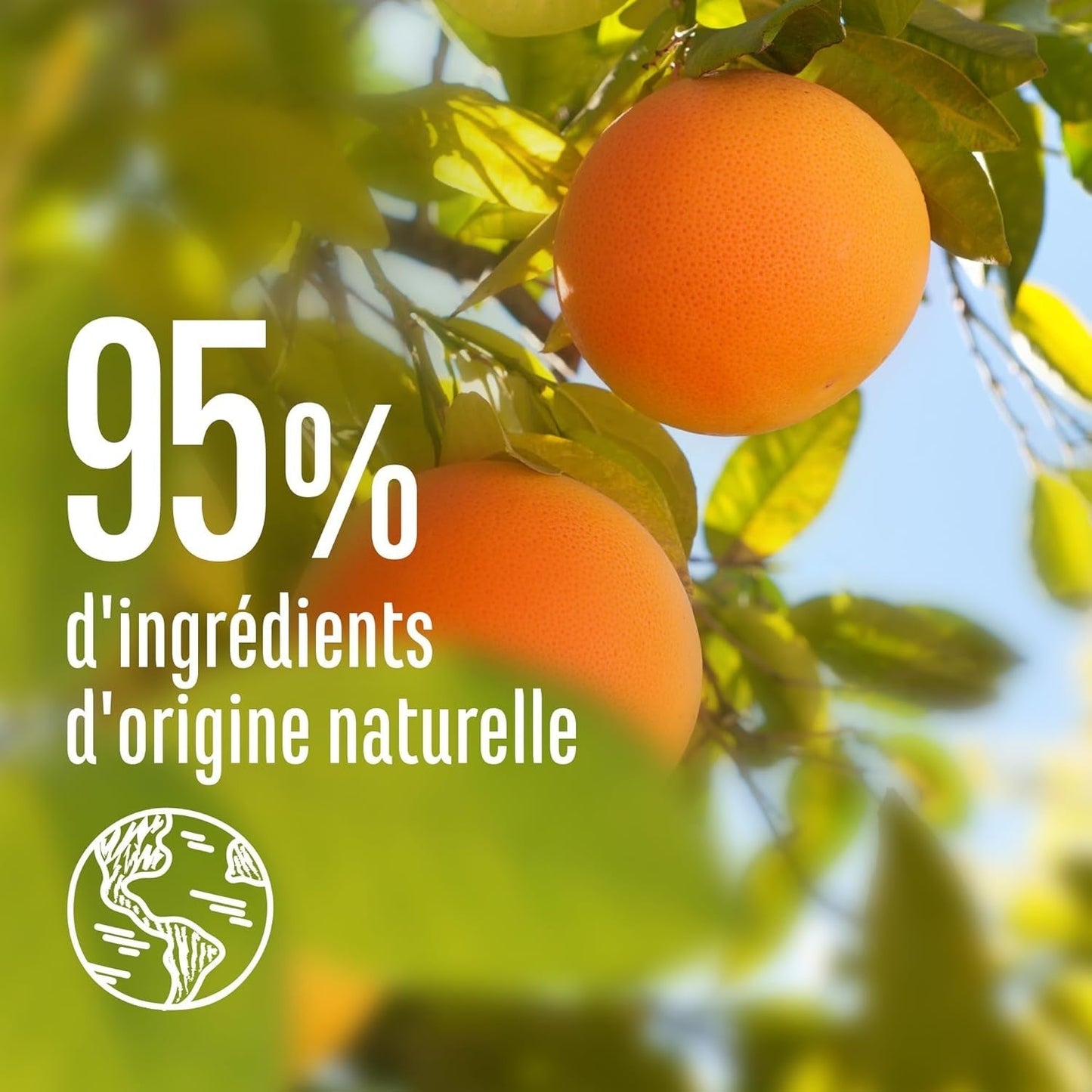 Le Petit Marsylia | Spray ułatwiający rozczesywanie z grejpfrutem i jaśminem (butelka 200ml) - pielęgnacja bez spłukiwania - w 95% naturalny i bez silikonu Produkty do rozczesywania włosów Naty Shop
