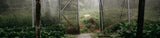 Tosepan Kawa Arabica z tropikalnego lasu Meksyku 1000 g