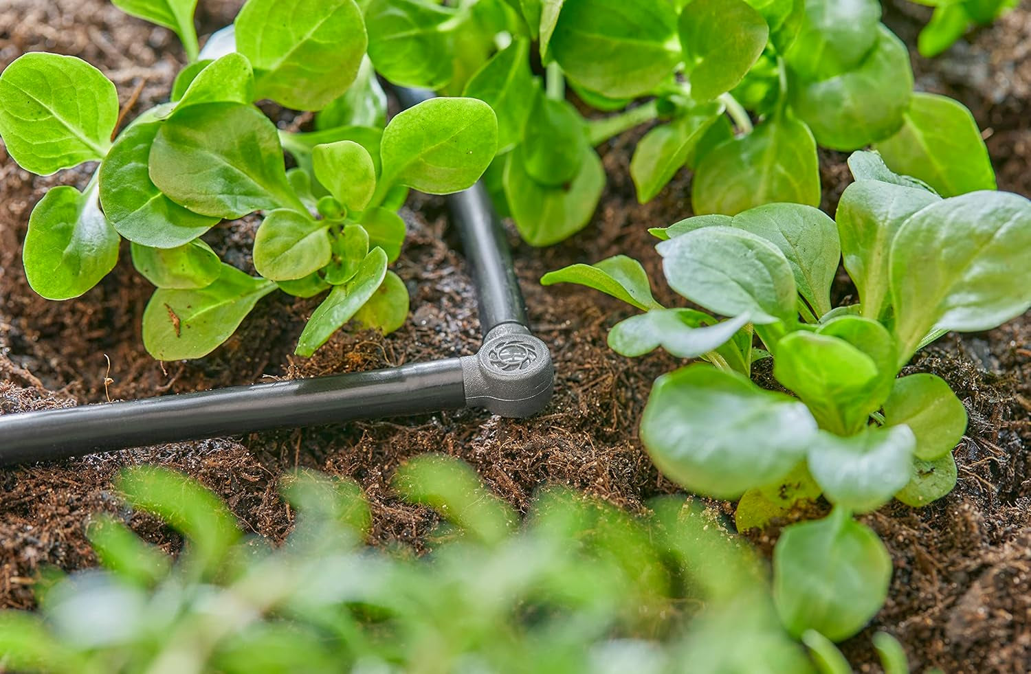 Łącznik L do Gardena Micro-Drip 4,6 mm (3/16 cala): do zmiany kierunku rozprowadzania i linii kroplujących o 90 stopni, montaż bez załamań, łatwa i elastyczna technika łączenia (13212-20)