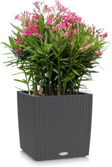 LECHUZA CUBE Domek 30 granitowy 15372