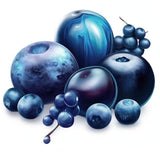 Barwnik spożywczy w proszku barwnik naturalny Fruity Line BLUEBERRY 20G naturalny barwnik w proszku do kremów polewa biszkoptowa do ciasta w proszku barwnik spożywczy do galaretek do napojów