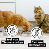 Mokra karma dla kotów Catz Finefood Purrrr Horse Monoprotein no. 123, dla kotów z wrażliwym układem trawiennym, zawartość mięsa 70%, 6 pudełek x 400 g