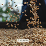 Incapto Spezialitäten-Kaffeebohnen | Kolumbijskie jednego pochodzenia | Espresso 100% Arabika | Kawa specjalistyczna 84 punkty SCA | Tradycyjna Geröstete Bohnenkaffee | Roślina Huila, Cadefihuila, 1kg