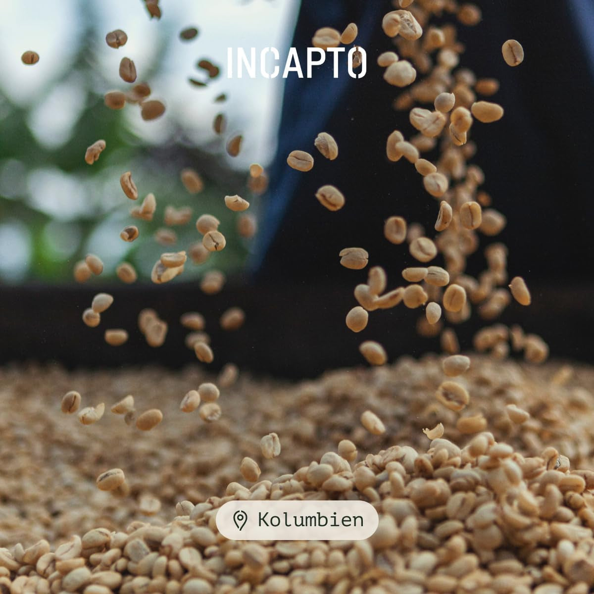 Incapto Spezialitäten-Kaffeebohnen | Kolumbijskie jednego pochodzenia | Espresso 100% Arabika | Kawa specjalistyczna 84 punkty SCA | Tradycyjna Geröstete Bohnenkaffee | Roślina Huila, Cadefihuila, 1kg