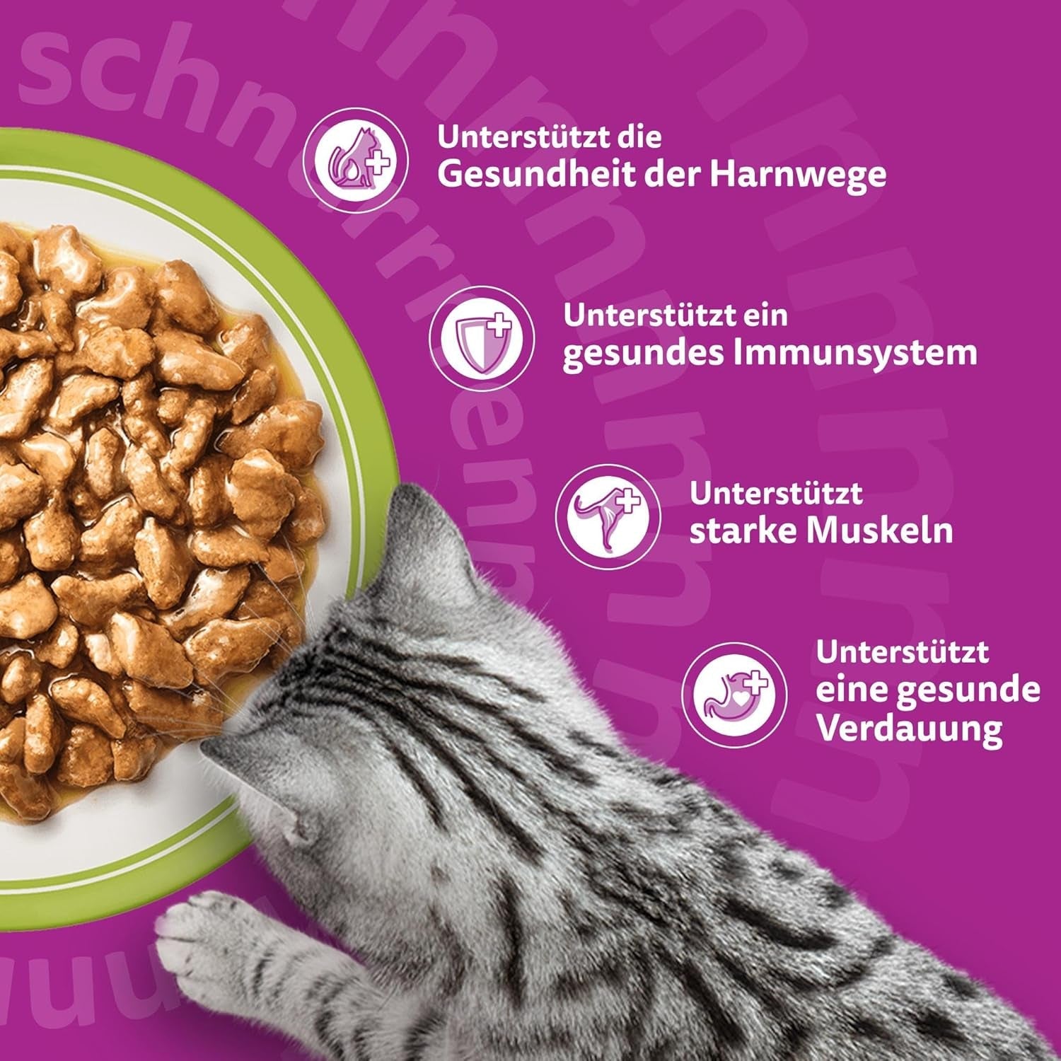 Whiskas Senior 7+ Mokra karma mieszana w sosie, 48 saszetek, 12x85g (4 sztuki w opakowaniu) - Wysokiej jakości mokra karma dla kotów w wieku 7 lat i starszych