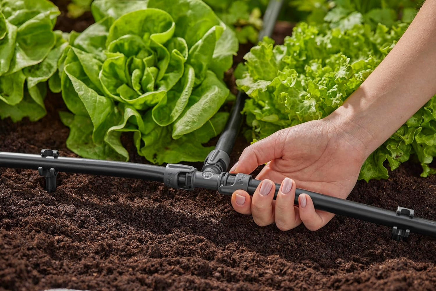 Gardena Micro-Drip System nawadniania Trójnik 13 mm (1/2"): Złącze do rur zasilających 13 mm, odgałęzienie T, automatyczne nawadnianie, wielokrotnego użytku (13201-20)
