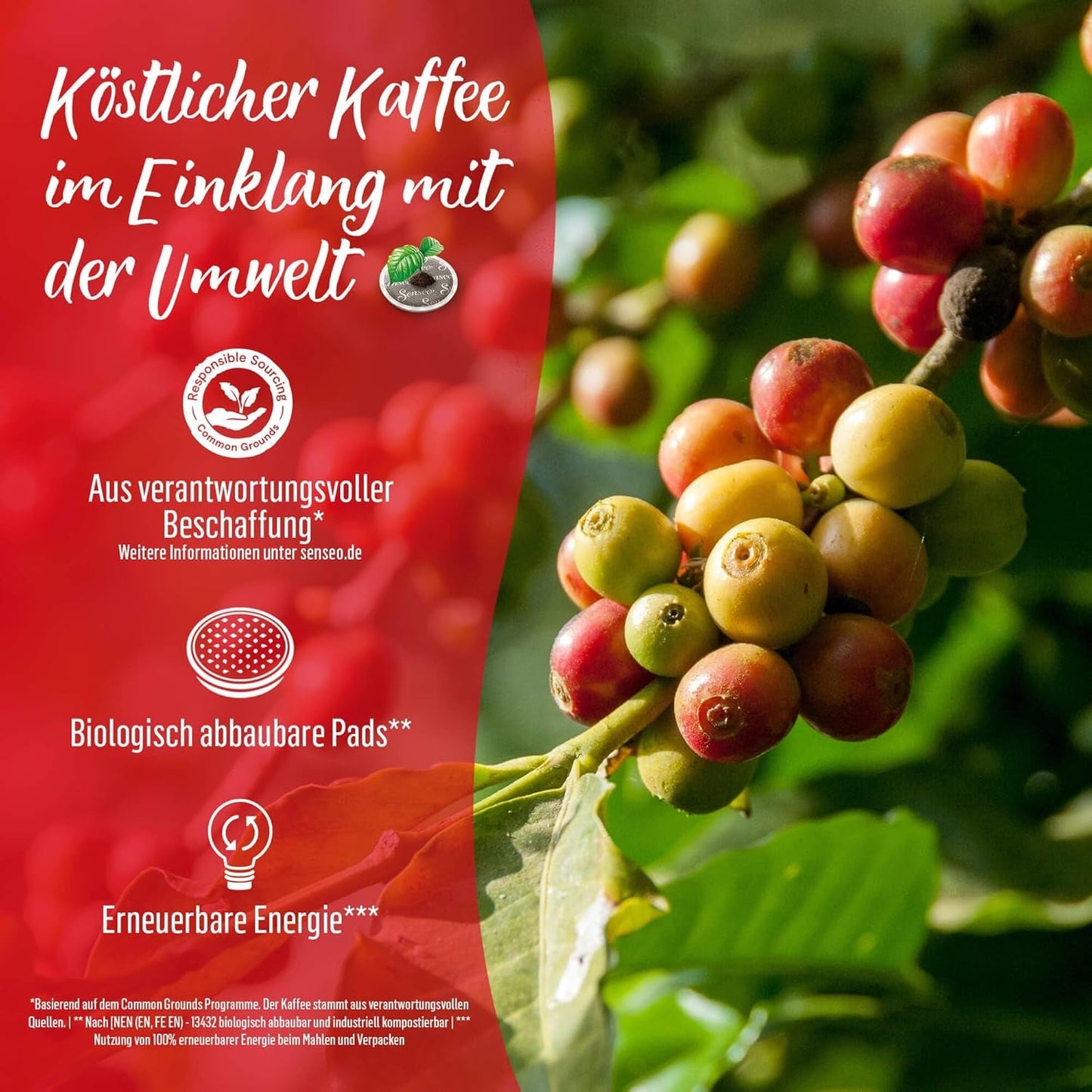 Senseo Pads Caffè Crema, 5 x 16 Getränke, 80 kapsułek Kaffeepad