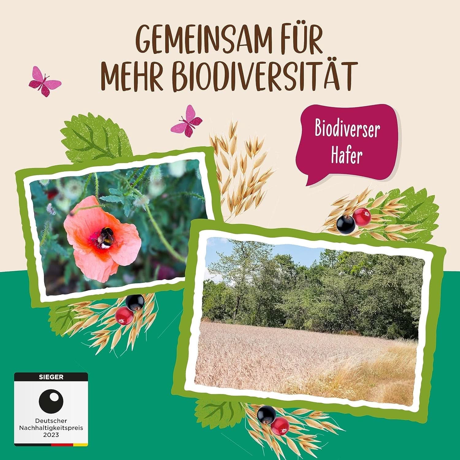 Allos, niesłodzone muesli jagodowe, opakowanie 5 x 500 gram Płatki Naty Shop