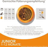 IAMS Delights Kitten Nassfutter - Opakowanie zbiorcze Katzenfutter mit Hunn w sosie, wysokiej jakości Futter für Junior Kätzchen von 1-12 Monate, 12 x 85 g