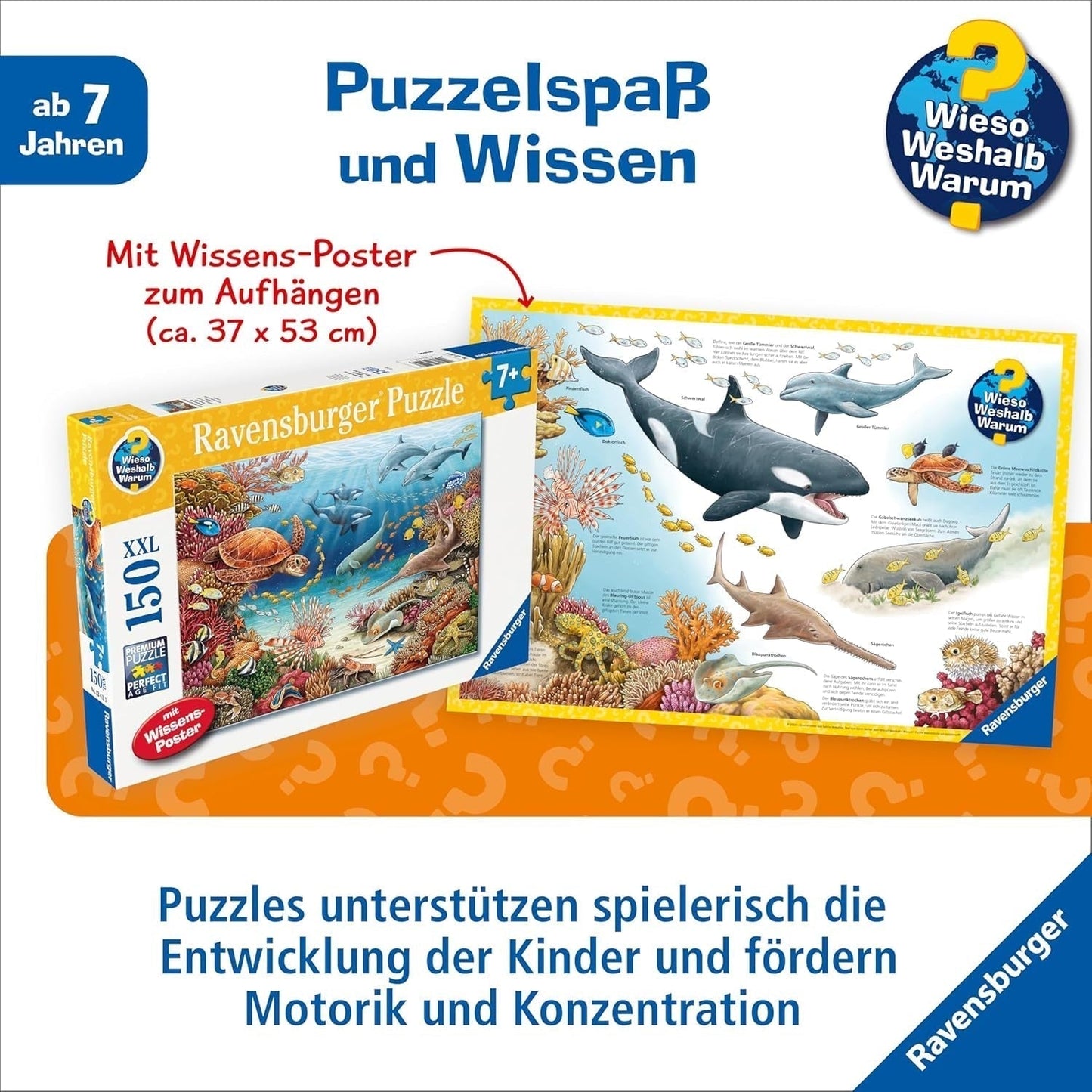 Puzzle dla dzieci Ravensburger 13411 - Stworzenia morskie na rafie koralowej - Dlaczego? Dlaczego? Dlaczego? Puzzle 150 elementów XXL + plakat wiedzy, dla dzieci od 7 lat Puzzle Naty Shop