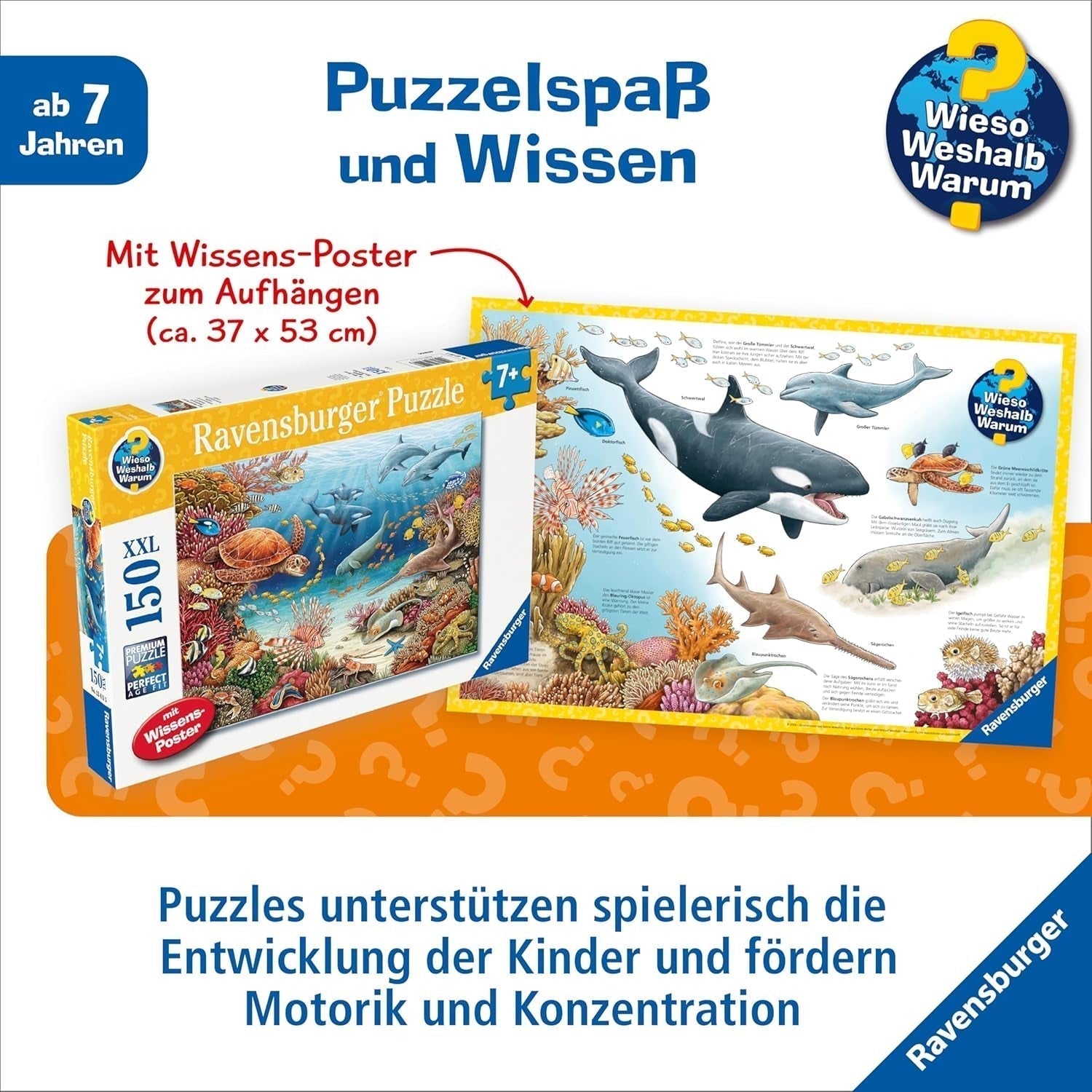 Puzzle dla dzieci Ravensburger 13411 - Stworzenia morskie na rafie koralowej - Dlaczego? Dlaczego? Dlaczego? Puzzle 150 elementów XXL + plakat wiedzy, dla dzieci od 7 lat Puzzle Naty Shop