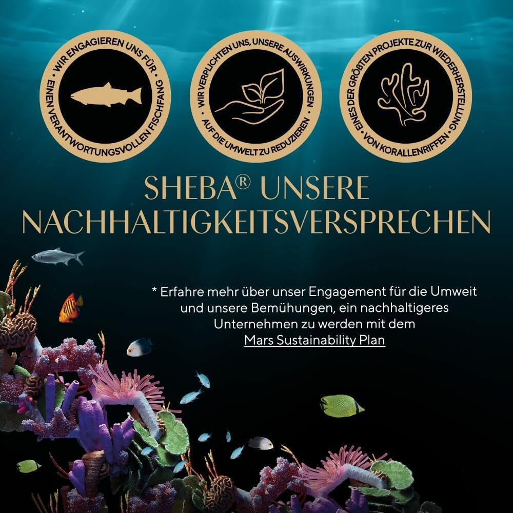 Sheba CATCARE Torba Wet Fresh & FINE (Ryba) Kawałki w sosie Dorosły 50g Opakowanie zbiorcze Standard