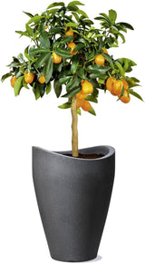 Scheurich Wave Globe High, wysoki pojemnik z tworzywa sztucznego, czarny granit, średnica 29,8 cm, wysokość 40 cm, pojemność 6 l.