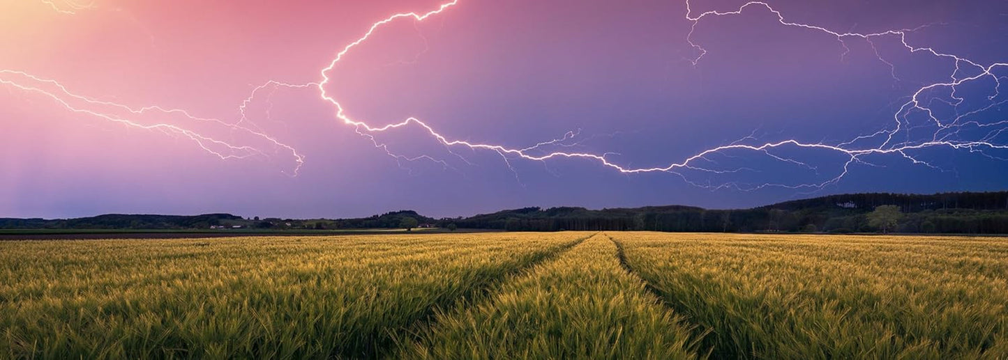 Ravensburger Nature Edition 17491 Summer Storm - układanka 500 elementów dla dorosłych i dzieci od 12 lat Puzzle Naty Shop Collage