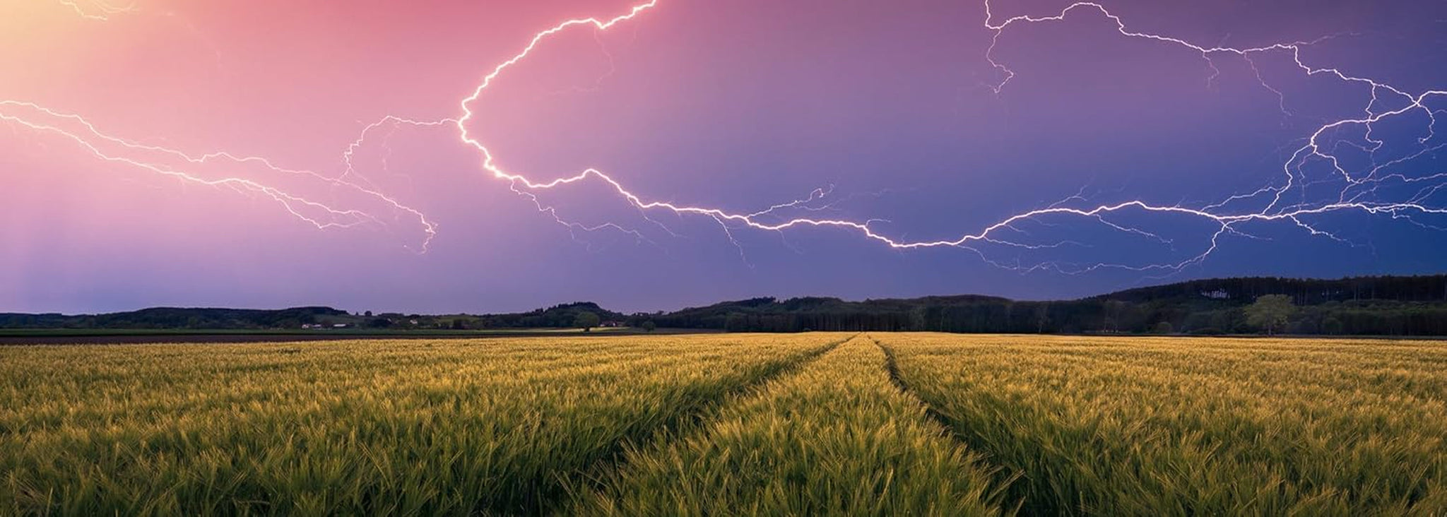 Ravensburger Nature Edition 17491 Summer Storm - układanka 500 elementów dla dorosłych i dzieci od 12 lat Puzzle Naty Shop Collage