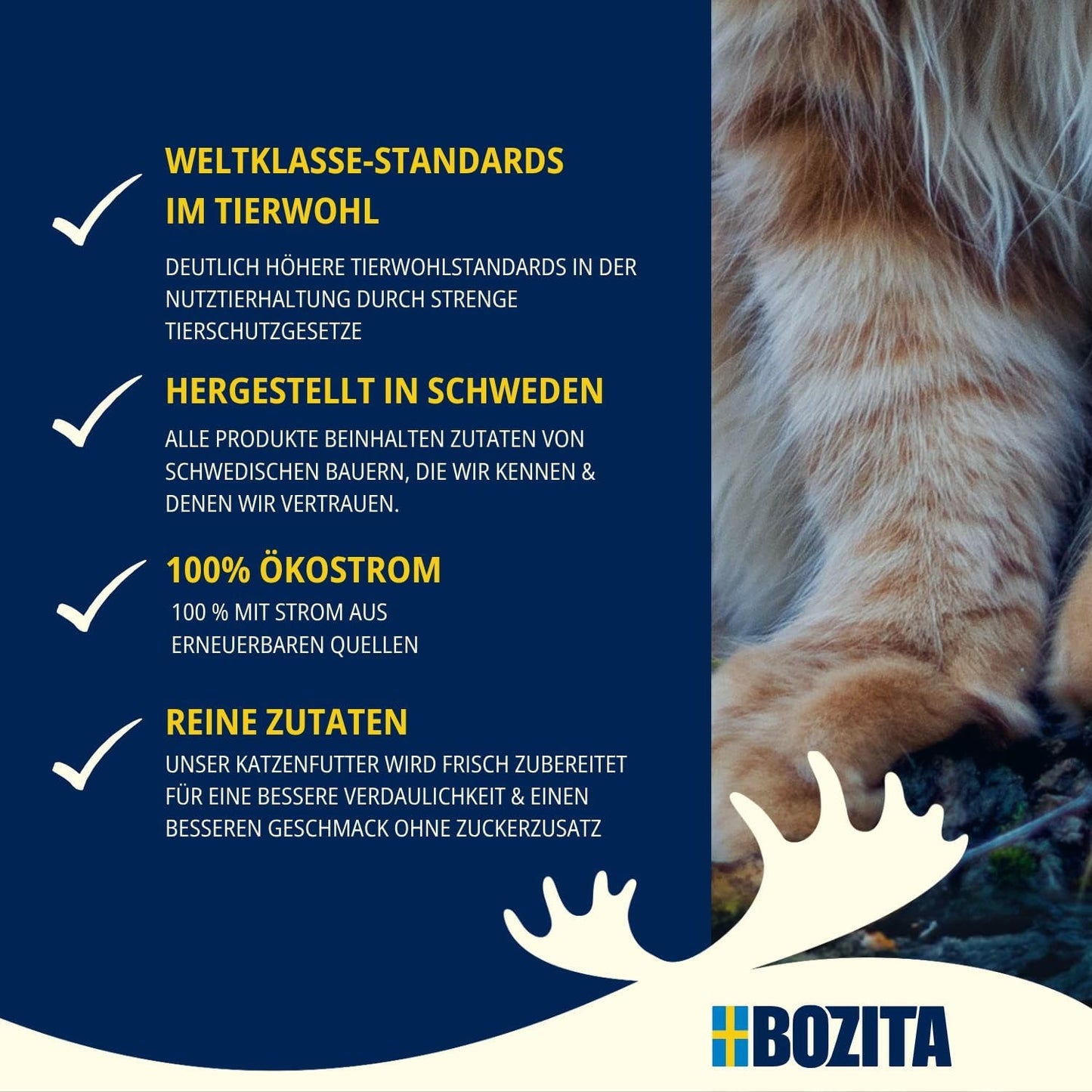 Bozita Mousse Chicken - 12 x 85 g mokra karma dla kotów o delikatnej konsystencji musu i kurczaka - receptura bez zbóż, bez dodatku cukru - z postbiotykami wspierającymi zdrową florę jelitową