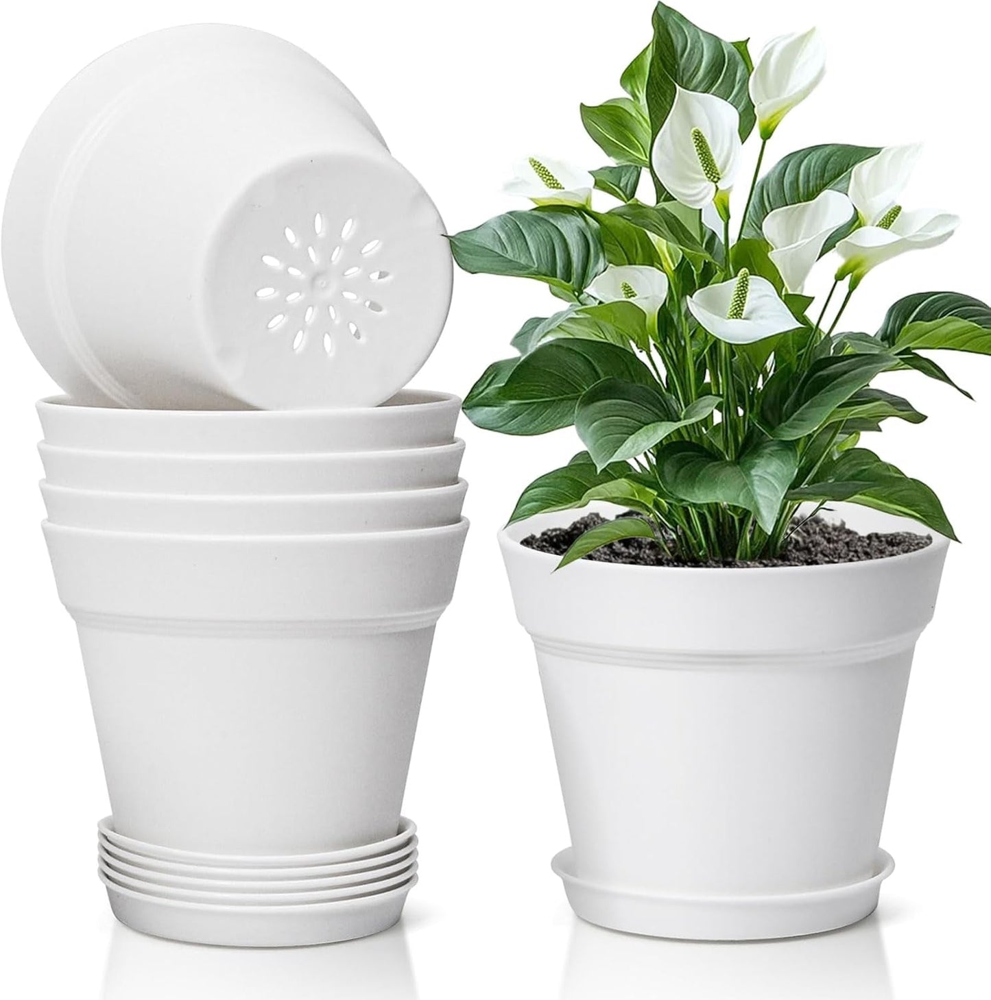 T4U 16 cm plastikowa doniczka ze spodkiem, zestaw 6 plastikowych doniczek na zioła z wieloma otworami drenażowymi, okrągła doniczka na sukulenty w pomieszczeniach i na balkonie, kaktusy, biała