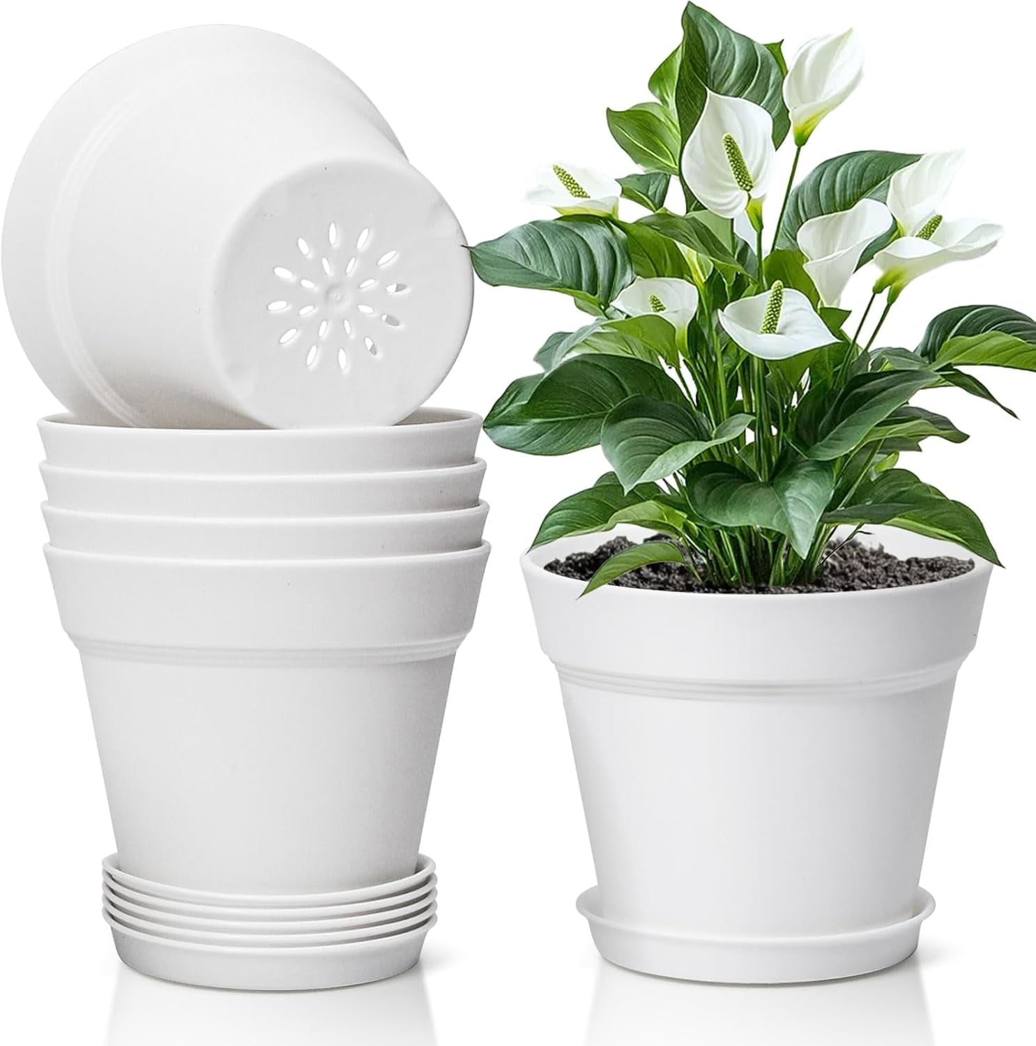 T4U 16 cm plastikowa doniczka ze spodkiem, zestaw 6 plastikowych doniczek na zioła z wieloma otworami drenażowymi, okrągła doniczka na sukulenty w pomieszczeniach i na balkonie, kaktusy, biała